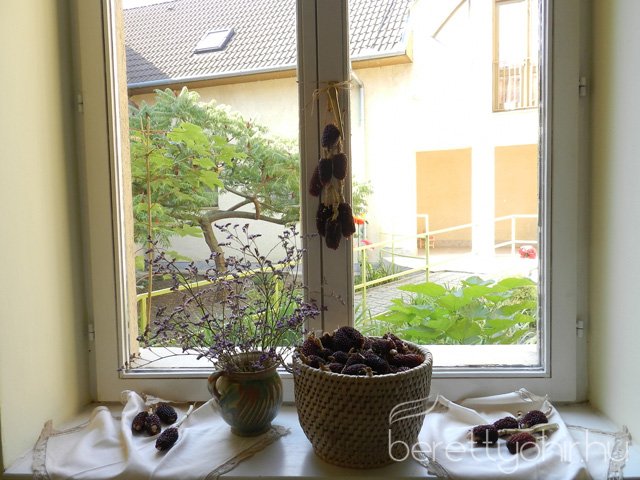 X. Bihari Múzeumpedagógiai Évnyitó22